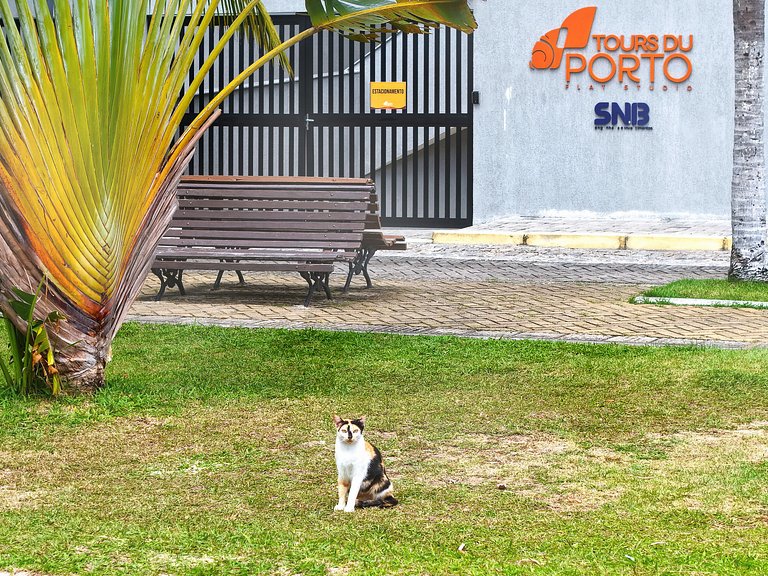 Flat Amplo no Centro de Porto de Galinhas – Quarto e Sala, T